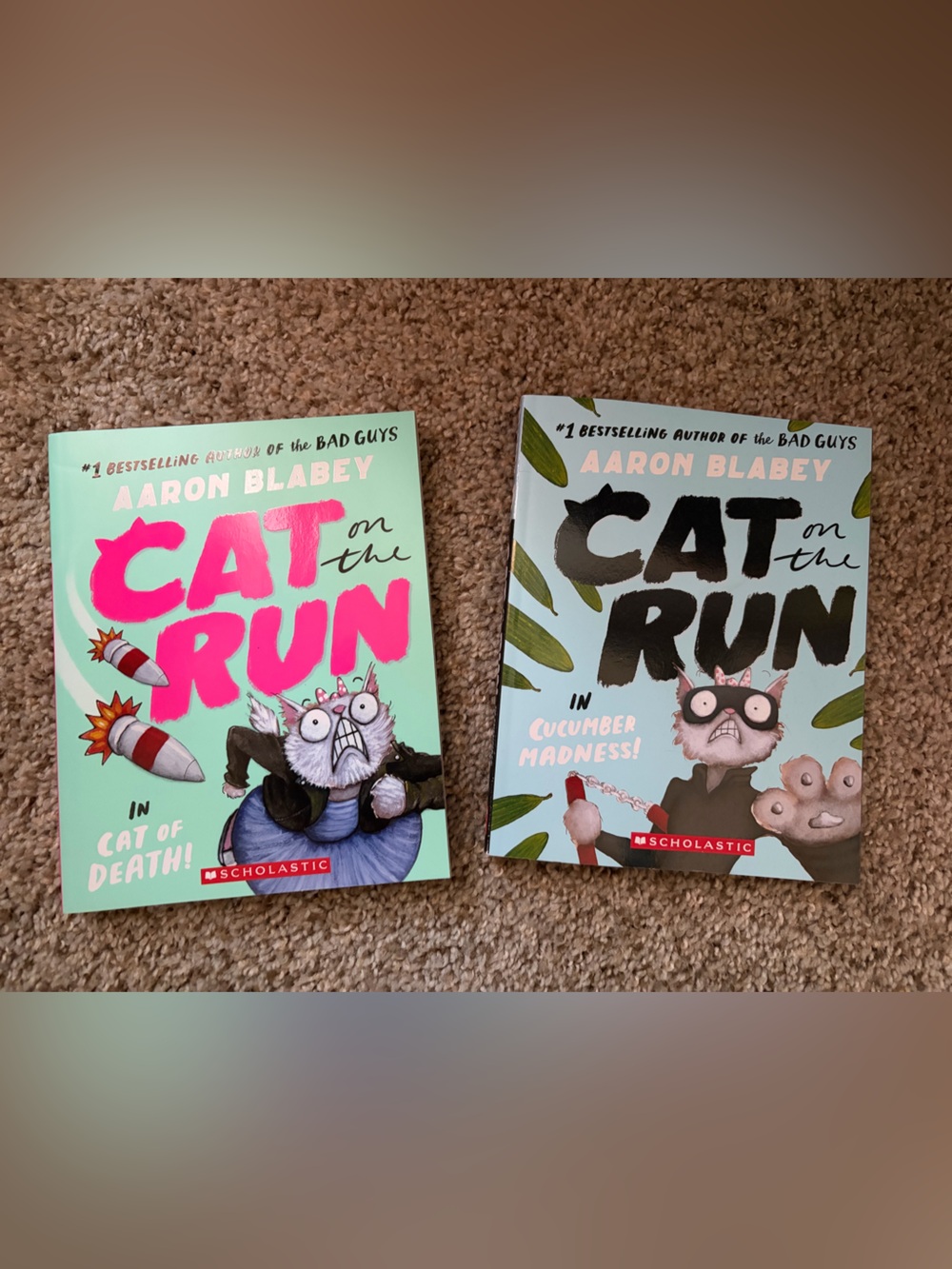 Scholastic Cat on the Run Books with Bright Pink and Black Covers
